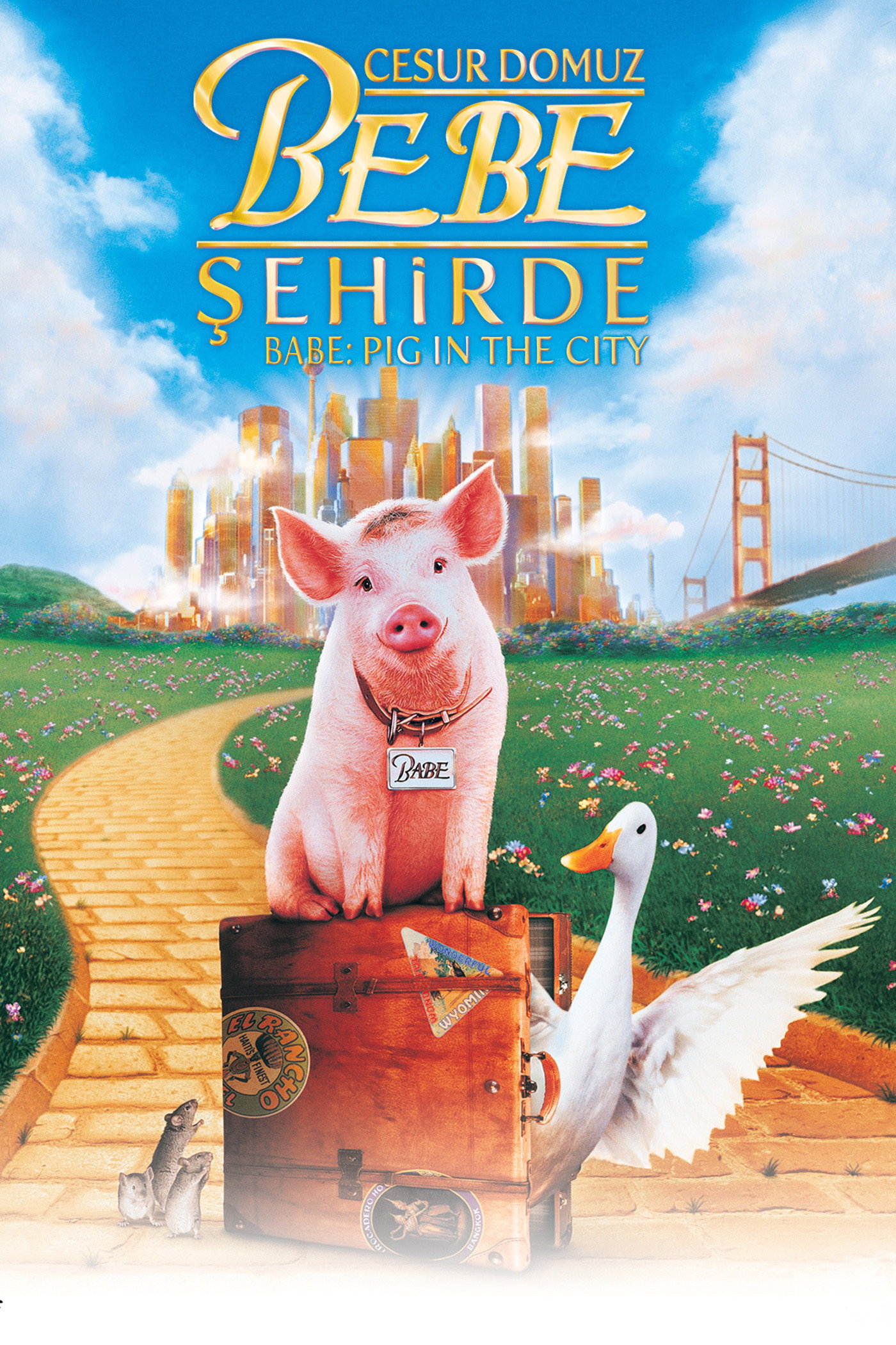Babe Şehirde İndir