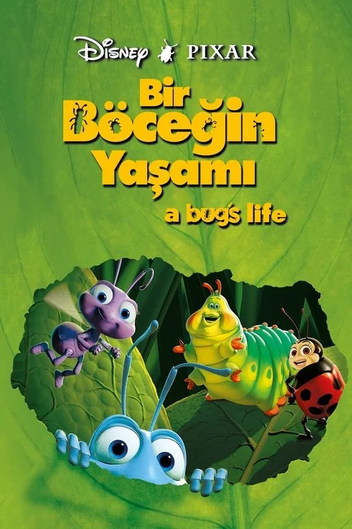 Bir böceğin yaşamı İndir