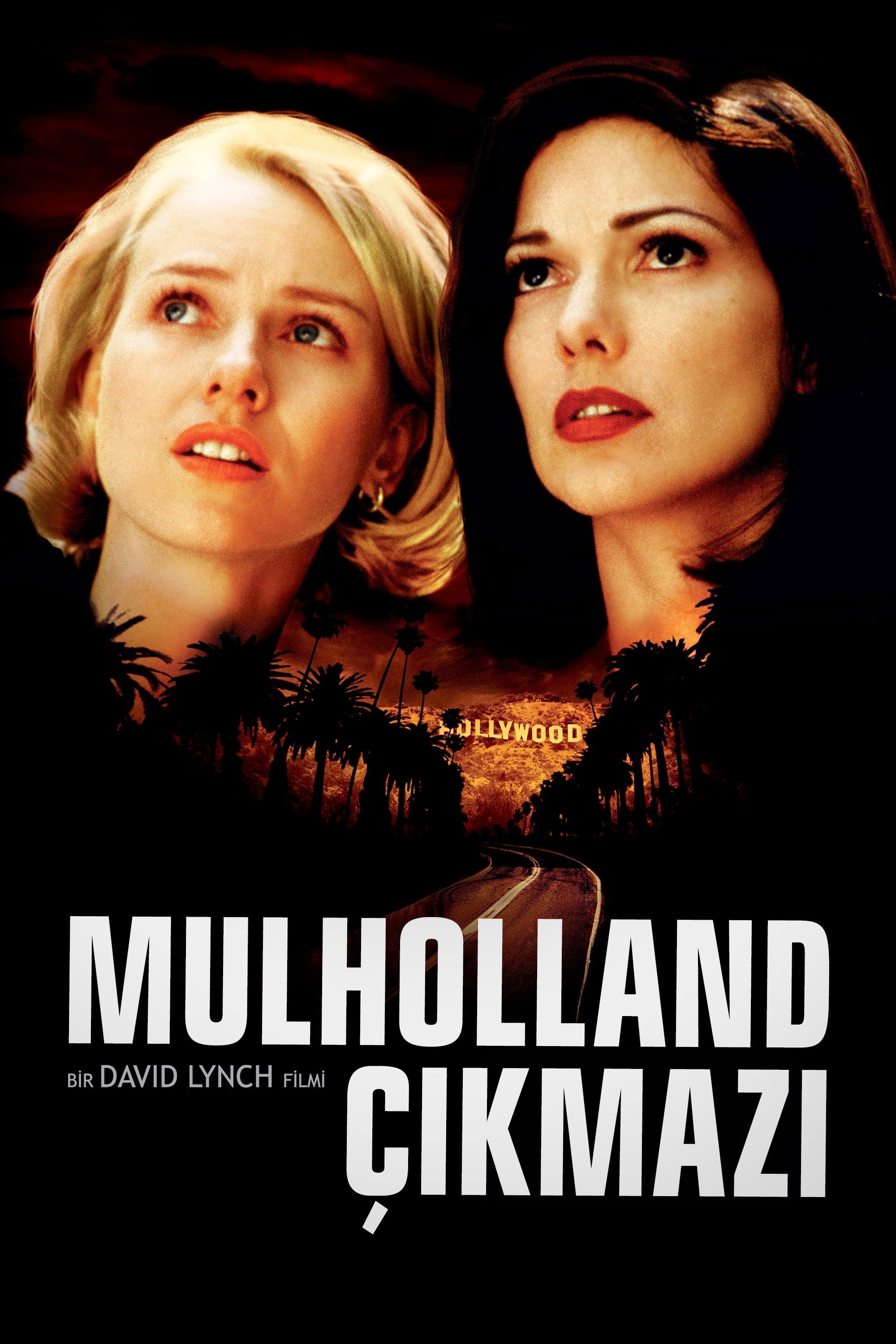 Mulholland Çıkmazı İndir