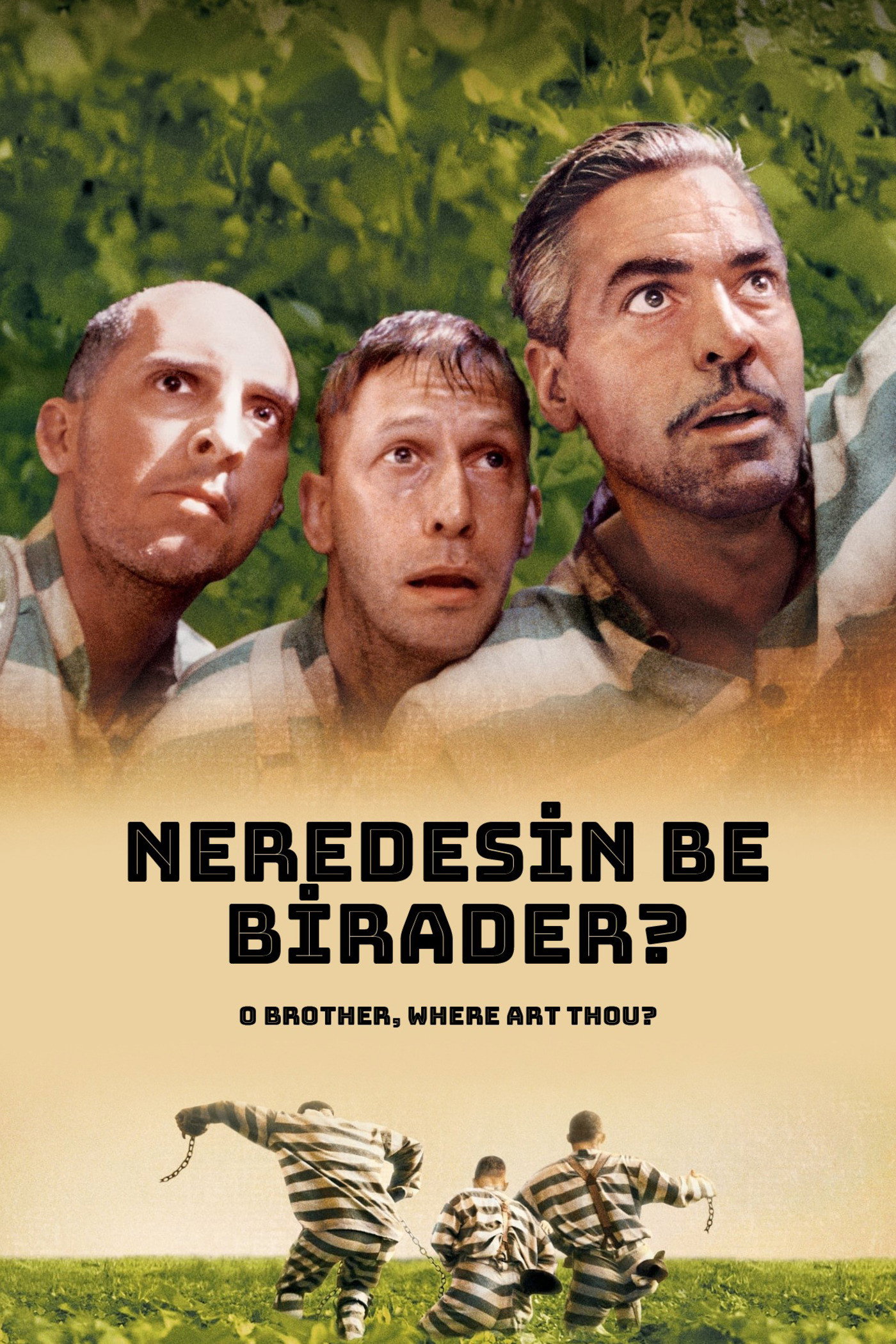 Neredesin Be Birader? İndir