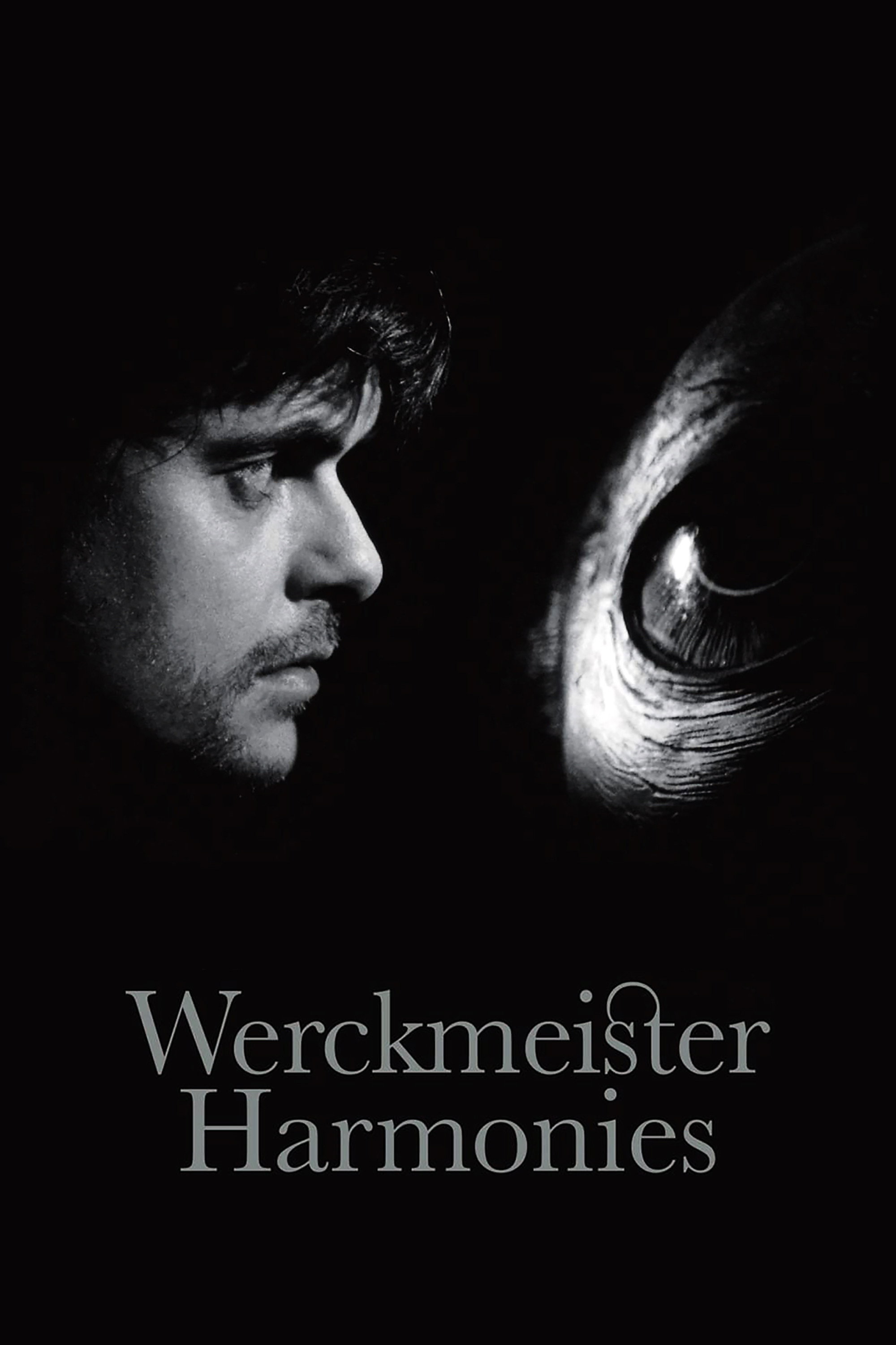 Werckmeister harmóniák İndir