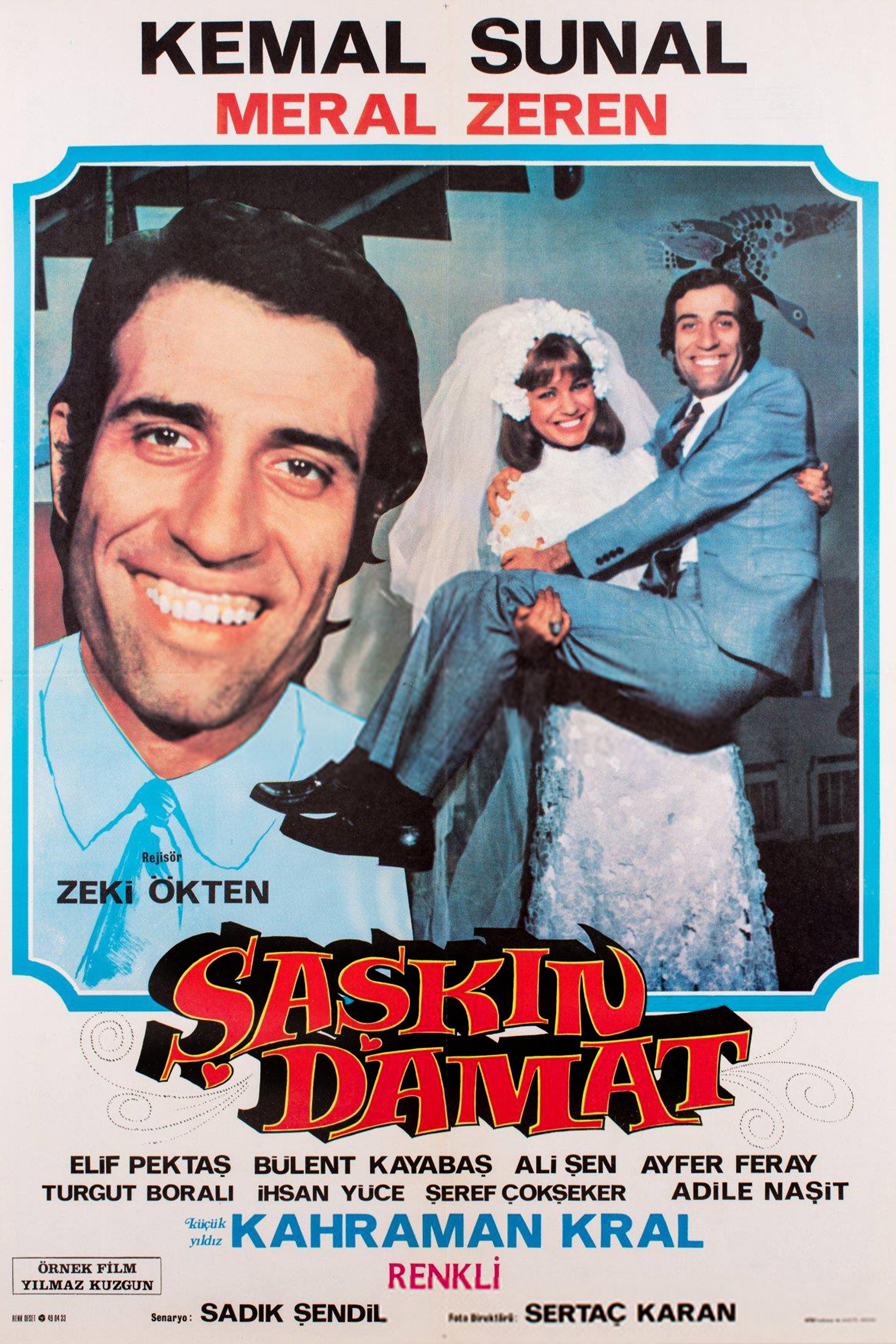 Şaşkın Damat İndir