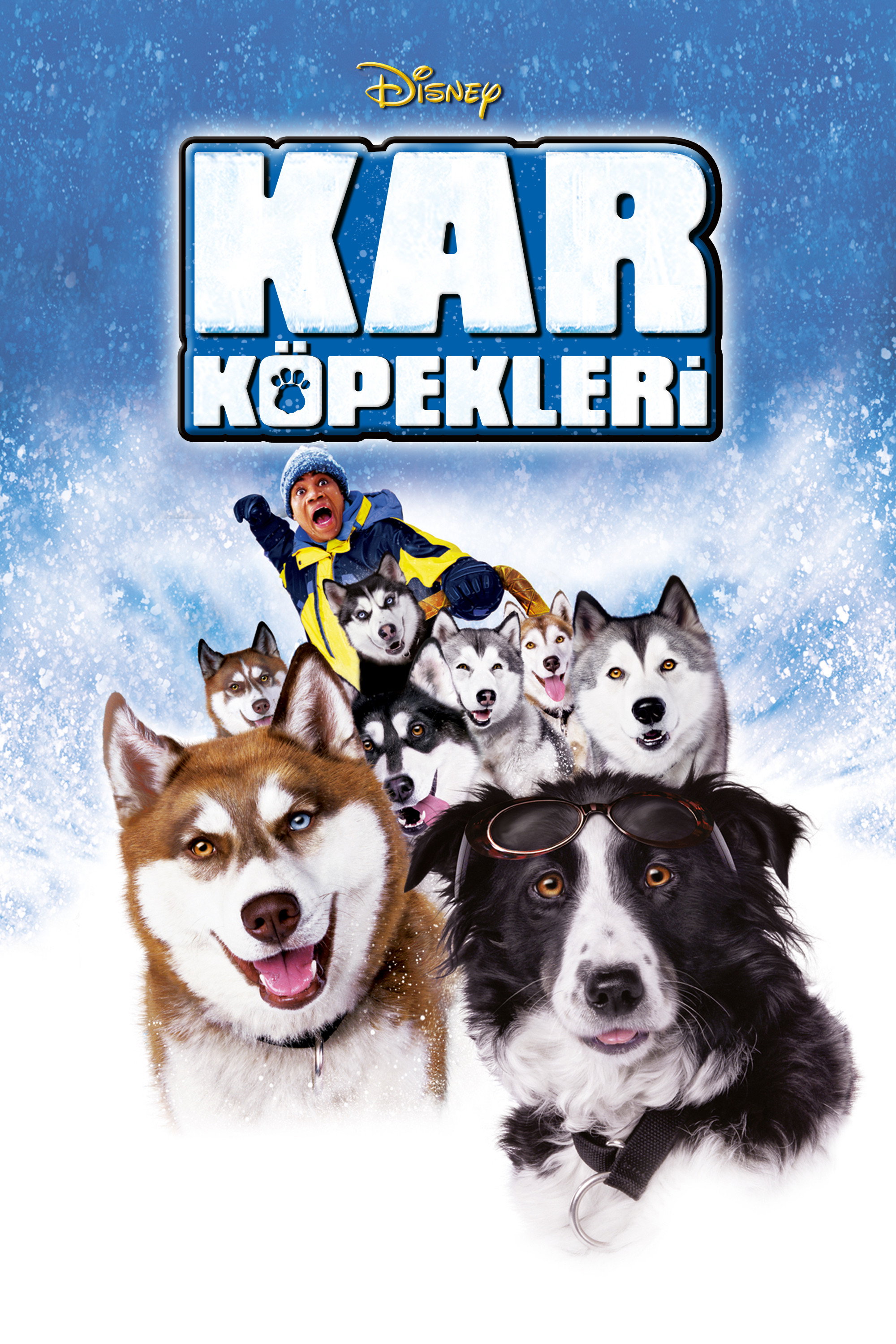 Kar Köpekleri İndir