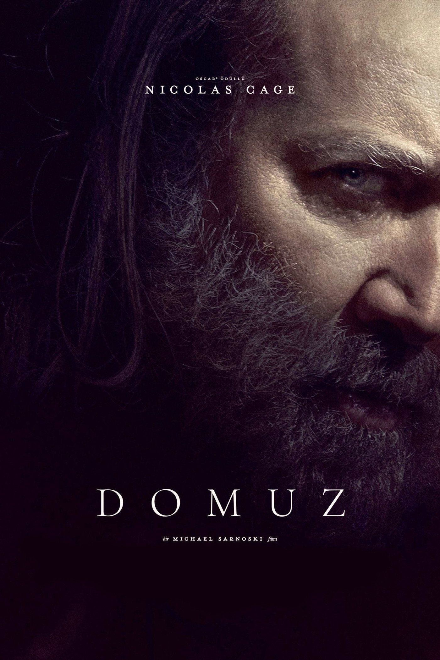 Domuz İndir