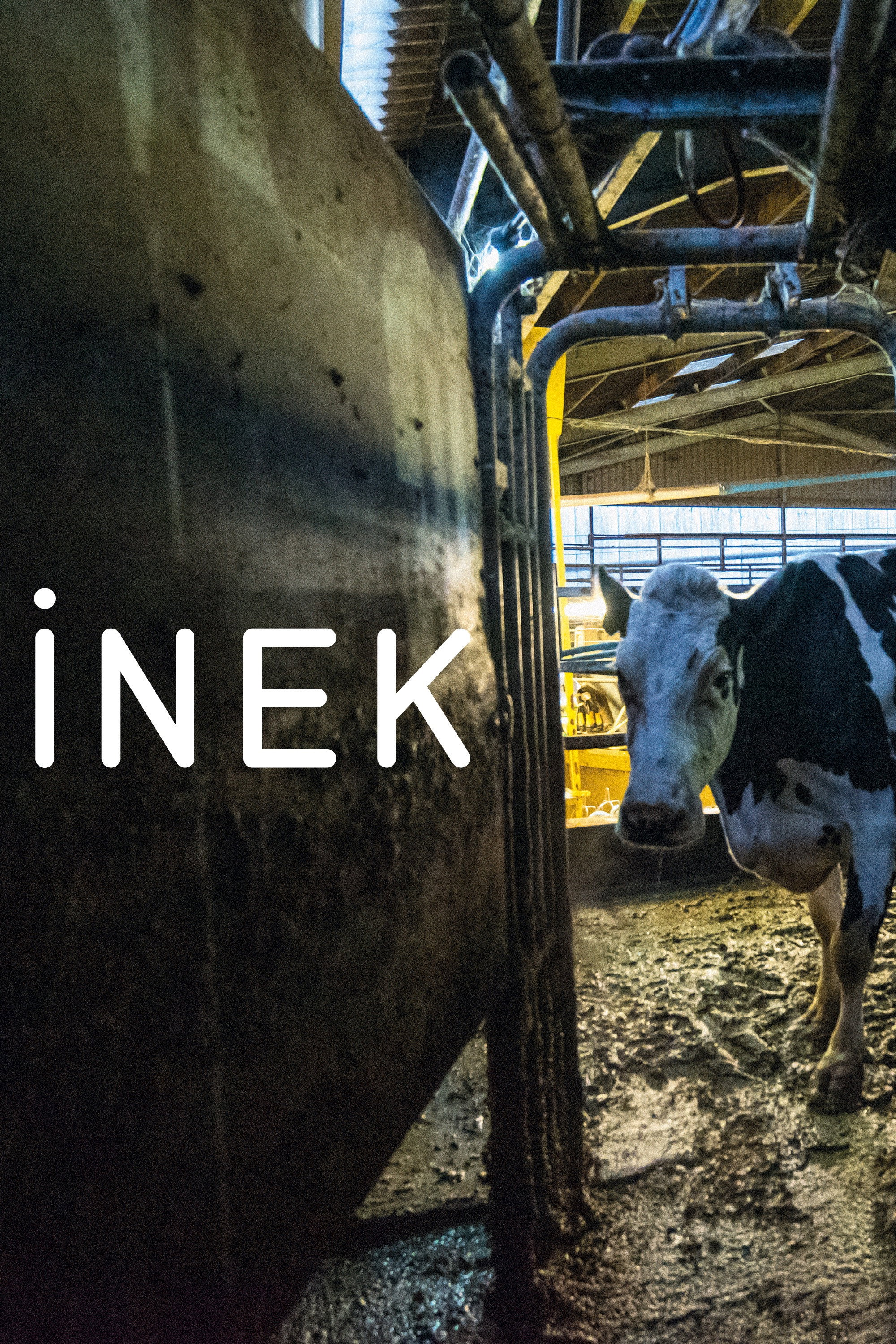 İnek İndir
