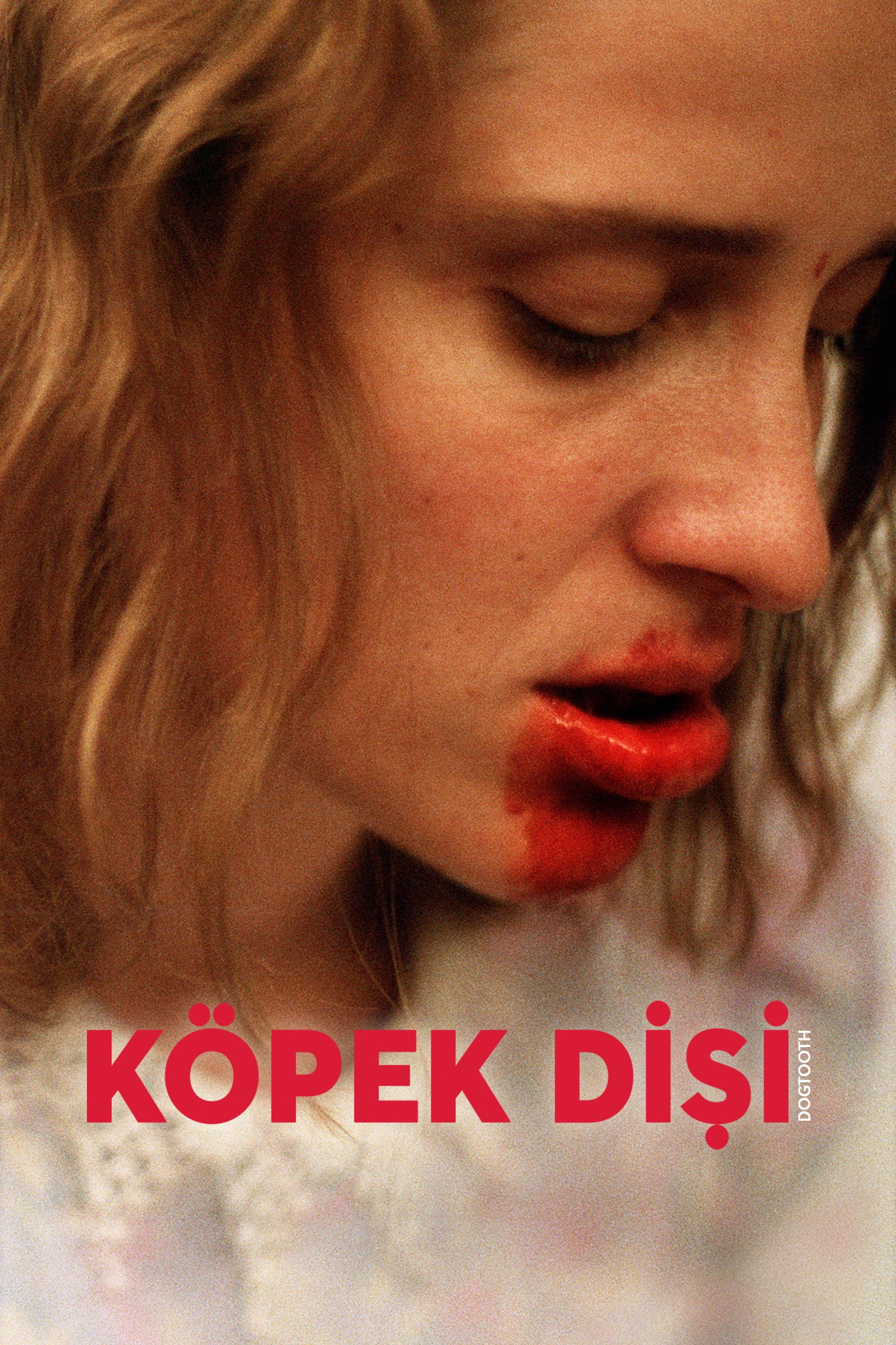Köpek Dişi İndir