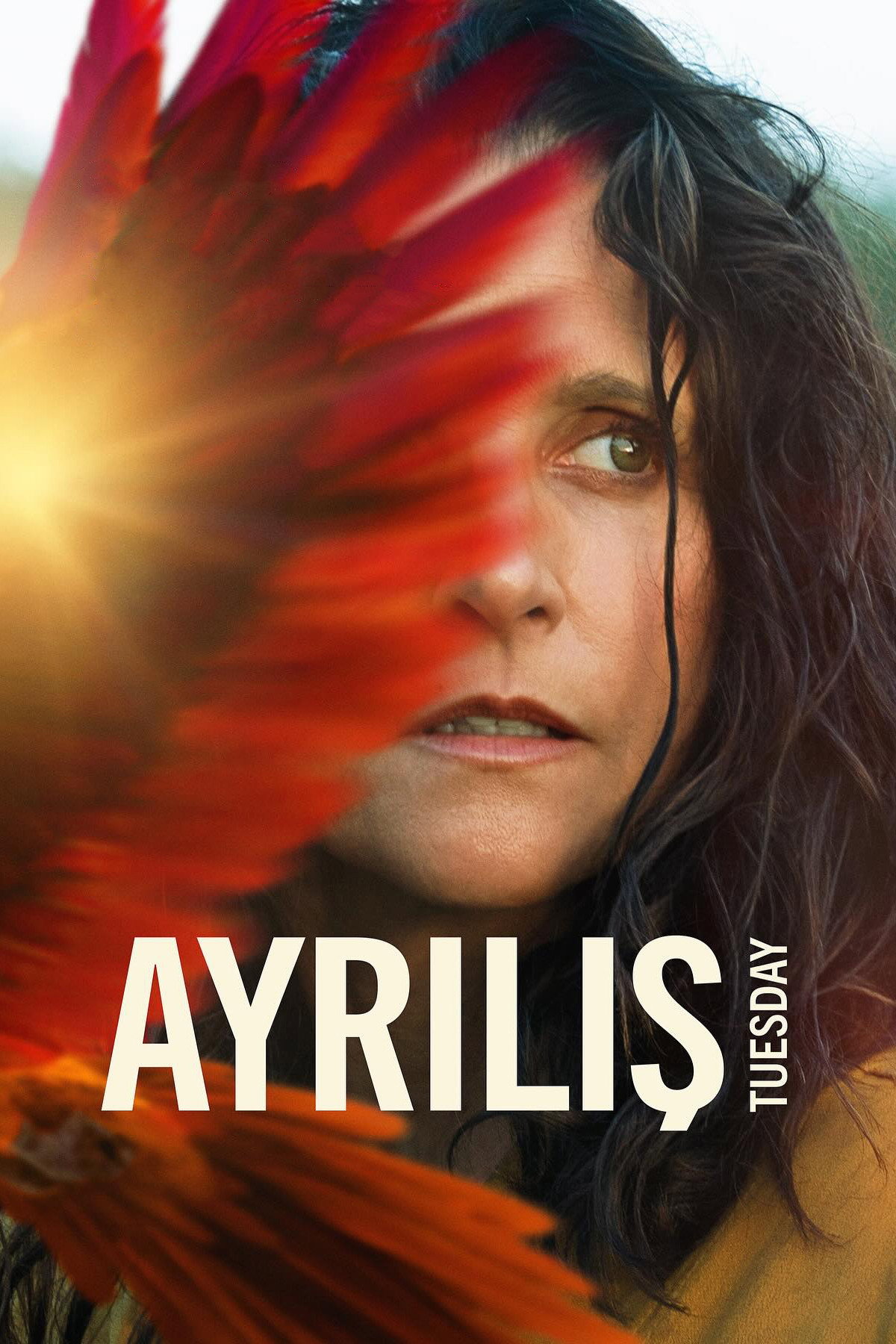 Ayrılış İndir