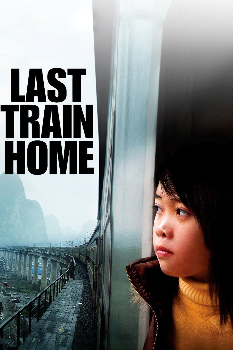 Last Train Home İndir