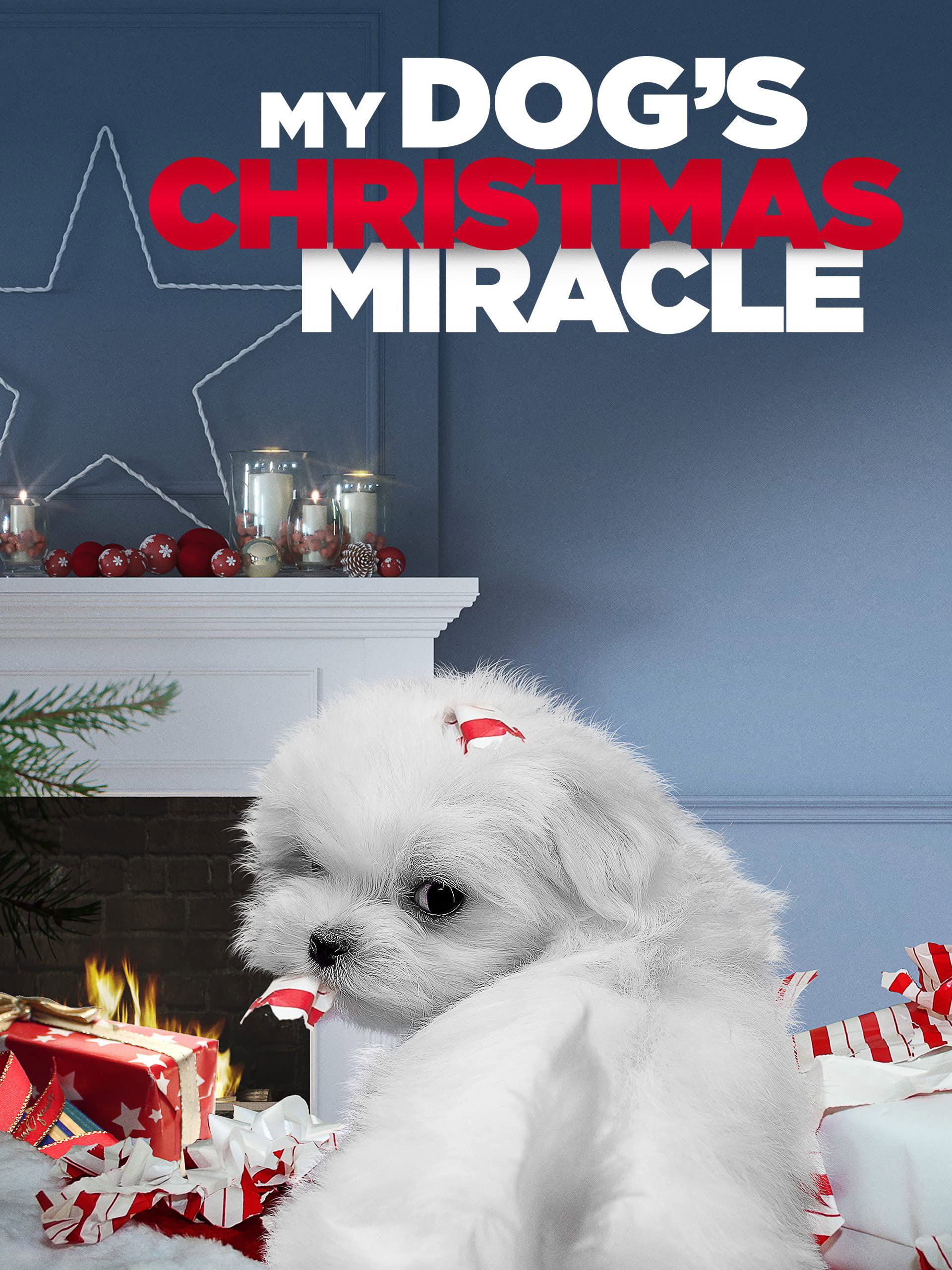 My Dog's Christmas Miracle İndir