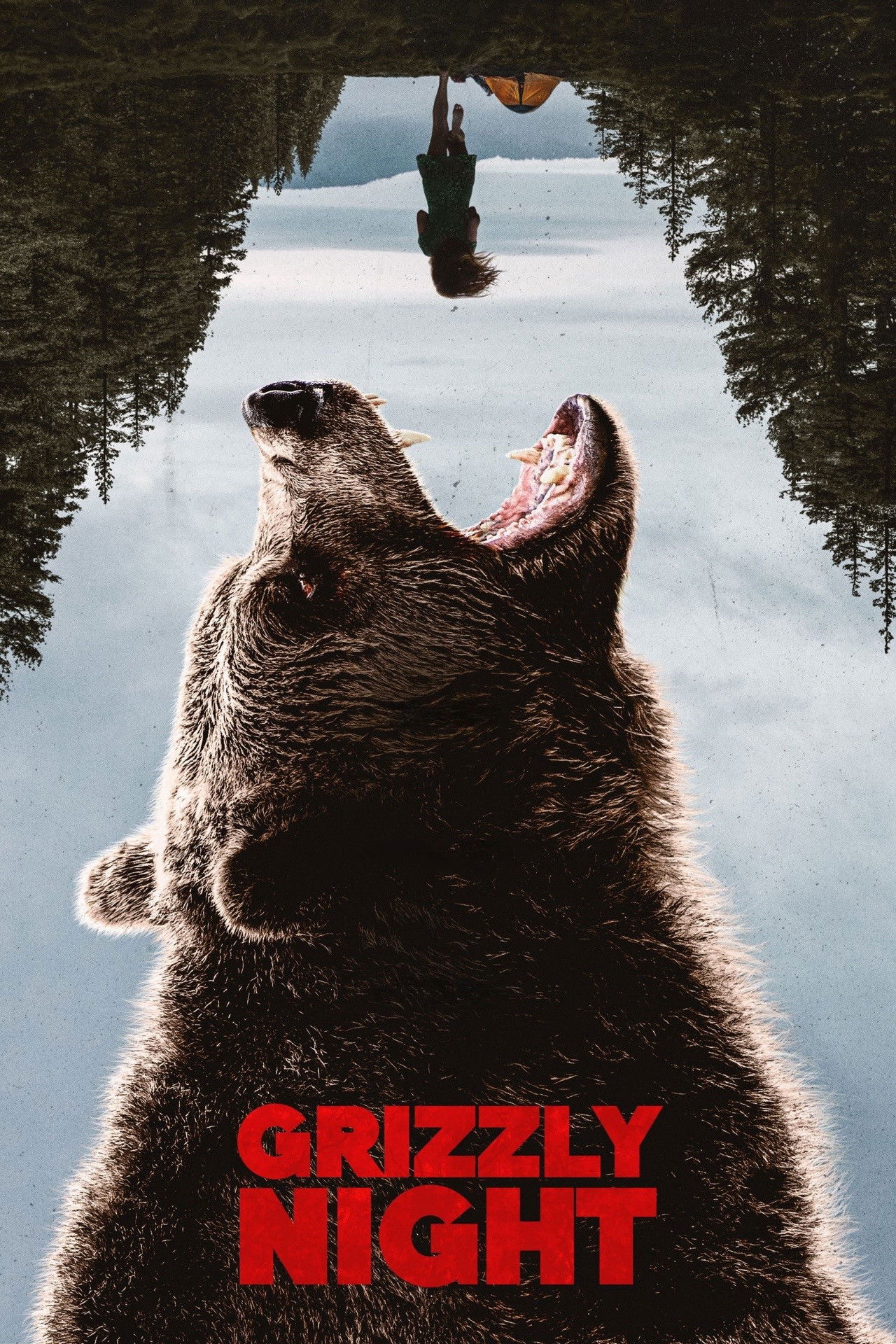 Grizzly Night İndir
