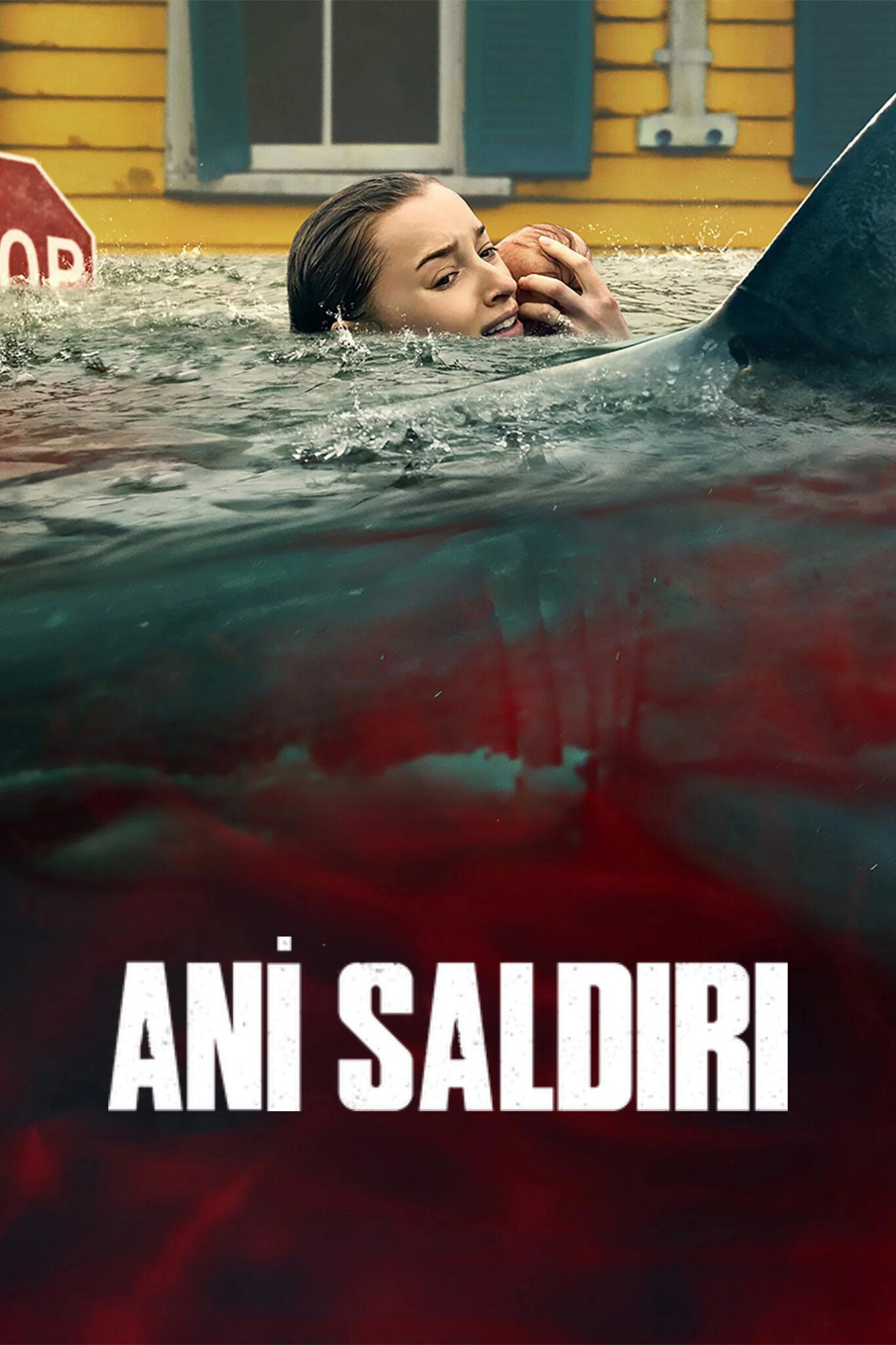 Ani Saldırı İndir