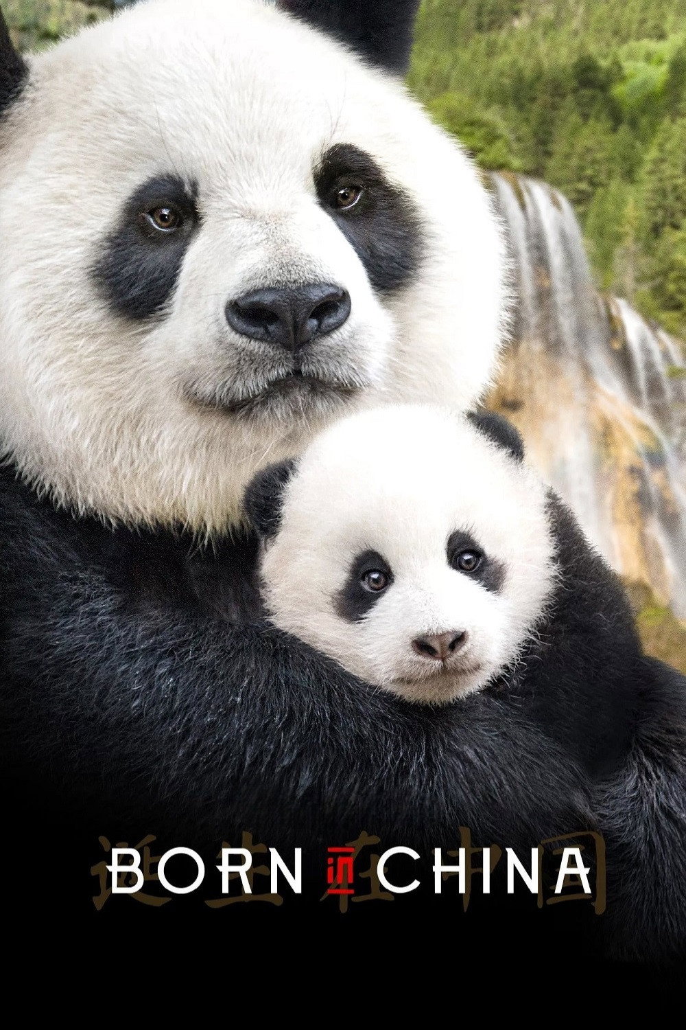 Born in China İndir