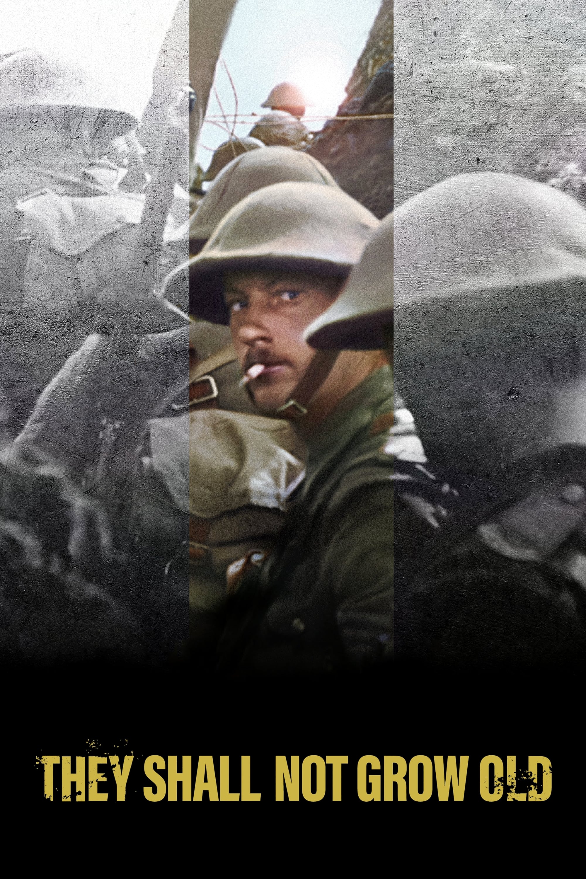 They Shall Not Grow Old İndir