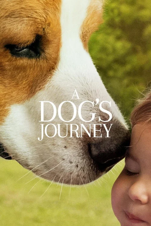 A Dog's Journey İndir