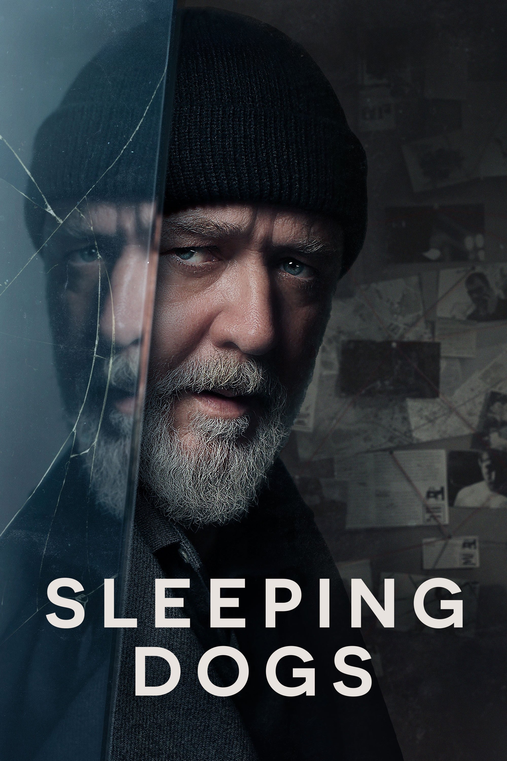 Sleeping Dogs İndir