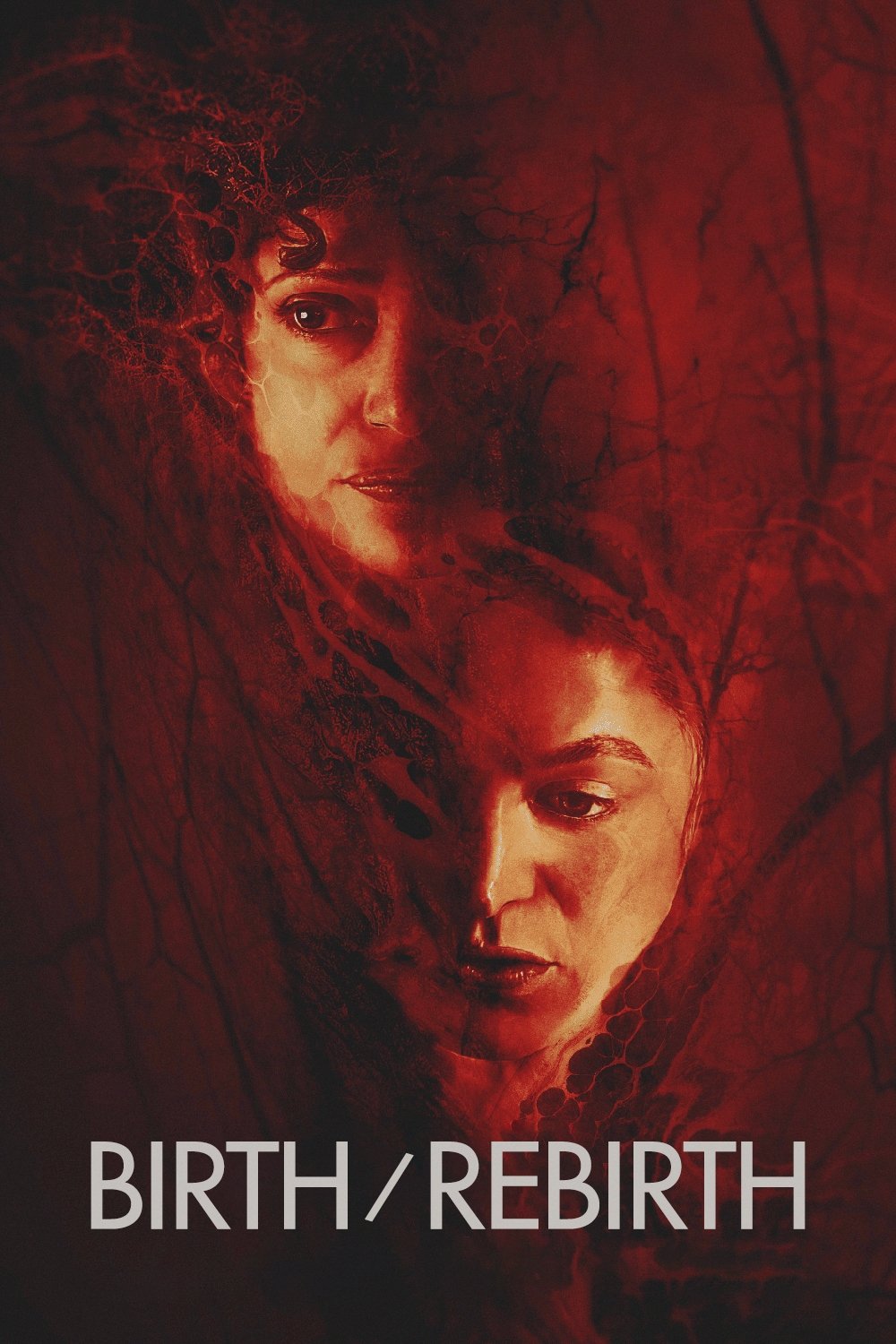 Birth/Rebirth İndir