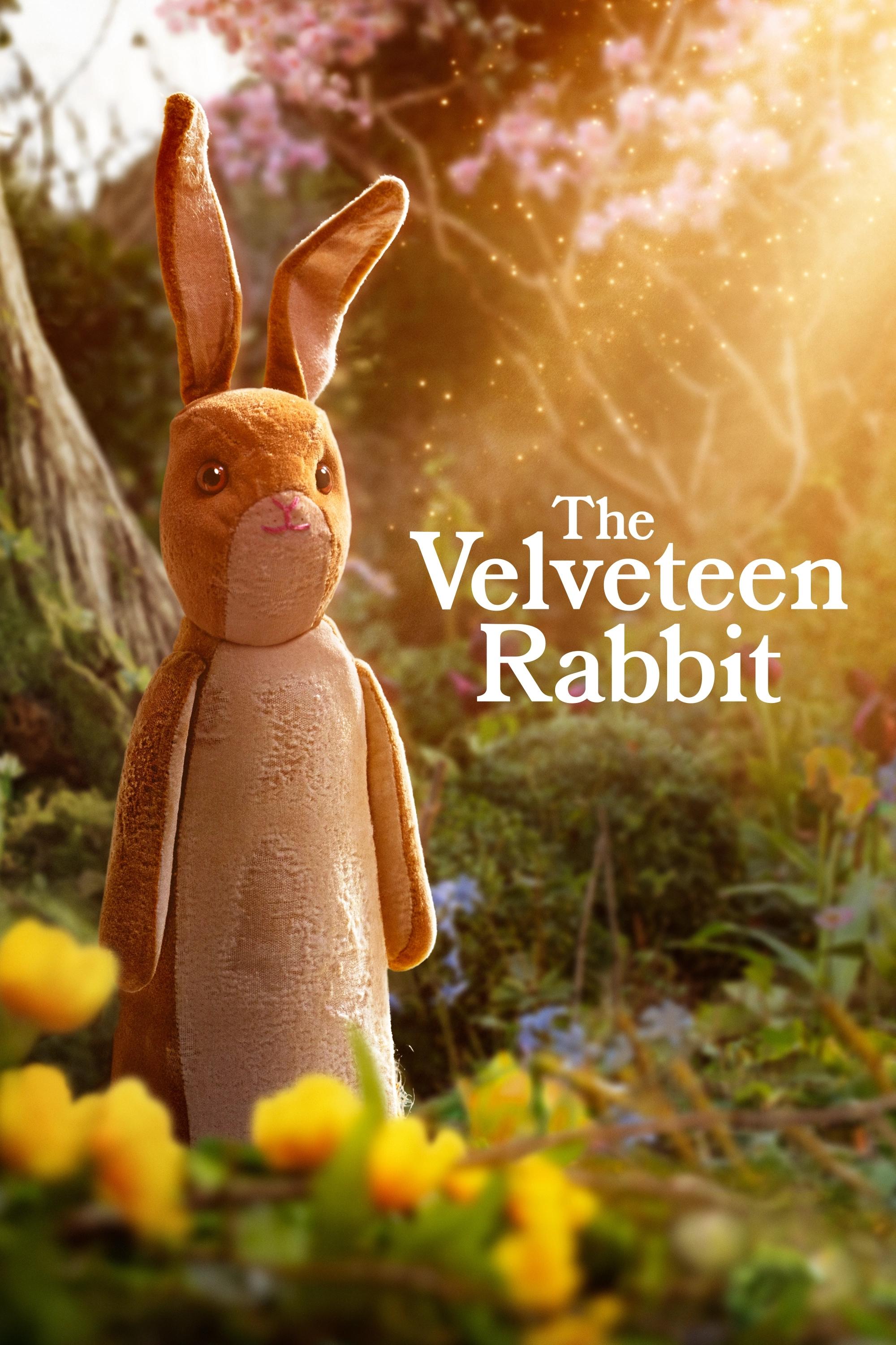 The Velveteen Rabbit İndir