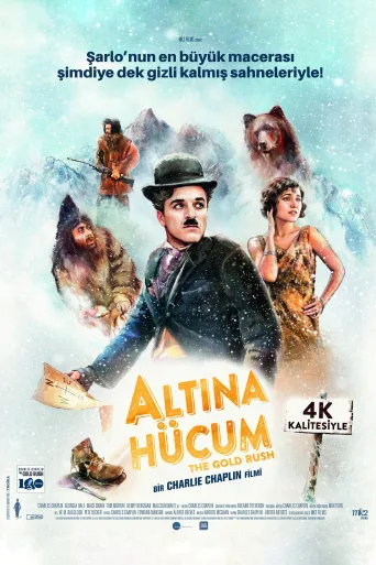 Altına Hücum İndir posteri