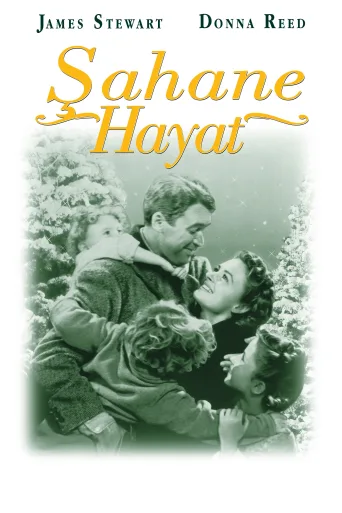 Şahane Hayat İndir posteri