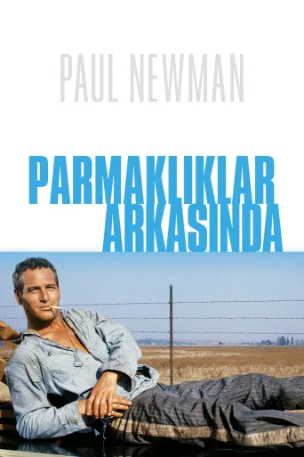 Parmaklıklar Arasında İndir posteri
