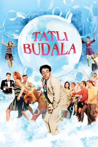 Tatlı Budala İndir posteri