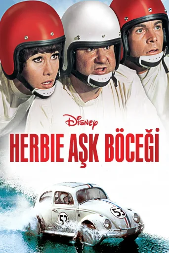 Aşk Böceği İndir posteri