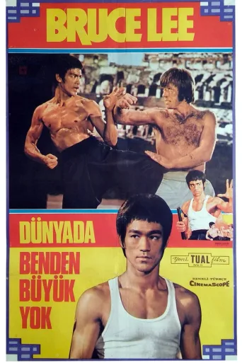 Ejder'in Dönüşü İndir posteri