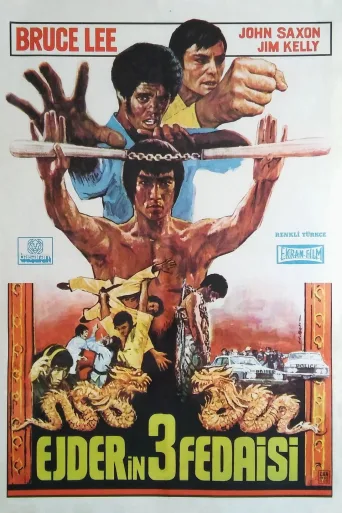 Ejder Kalesi İndir posteri