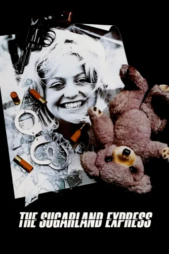 The Sugarland Express İndir posteri