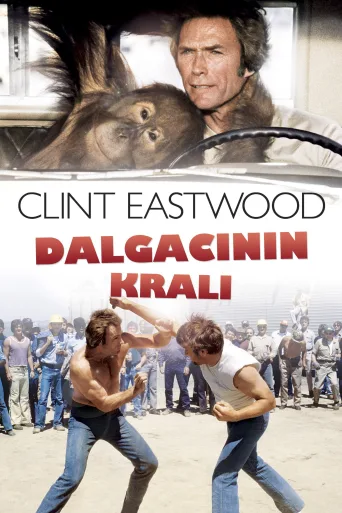 Dalgacının Kralı İndir posteri
