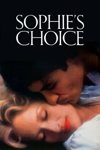 Sophie'nin Seçimi İndir posteri