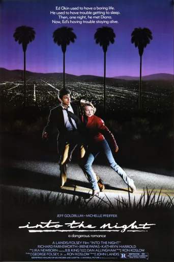 Gece Yarısı İndir posteri