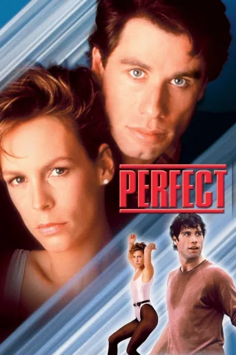 Perfect İndir posteri