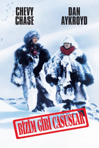 Bizim Gibi Casuslar İndir posteri