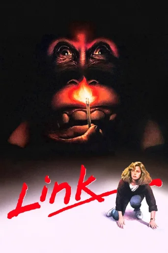Link İndir posteri