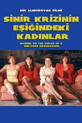 Sinir Krizinin Eşiğindeki Kadınlar İndir posteri