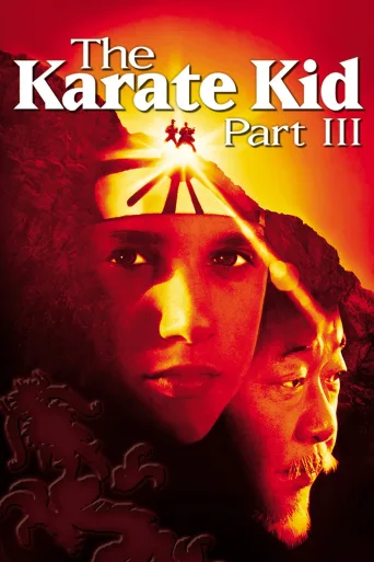 Karateci Çocuk 3 İndir posteri
