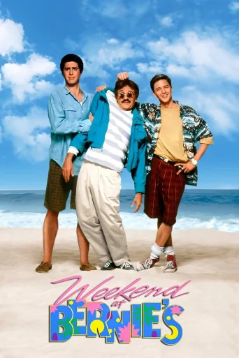 Çılgın Tatil İndir posteri
