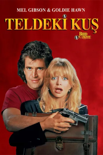 Teldeki Kuş İndir posteri