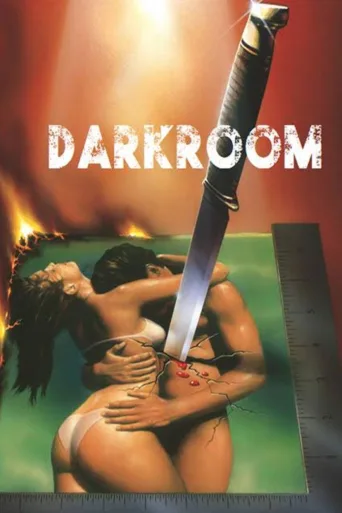 Darkroom İndir posteri