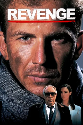 İntikam Revenge İndir posteri