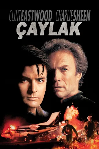 Çaylak İndir posteri
