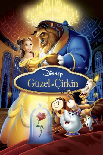 Güzel ve Çirkin İndir posteri
