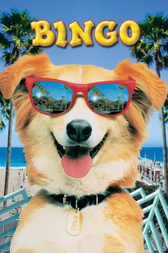 Kahraman Köpek Bingo İndir posteri