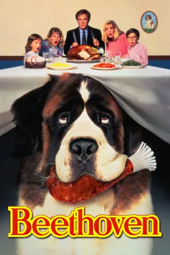 Afacan Köpek Beethoven İndir posteri