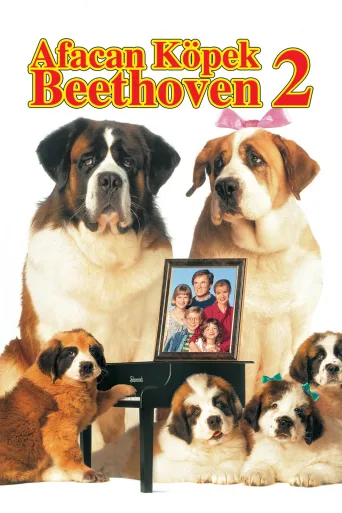Afacan Köpek Beethoven 2 İndir posteri