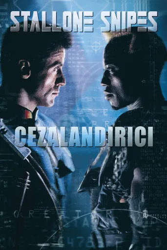 Cezalandırıcı İndir posteri