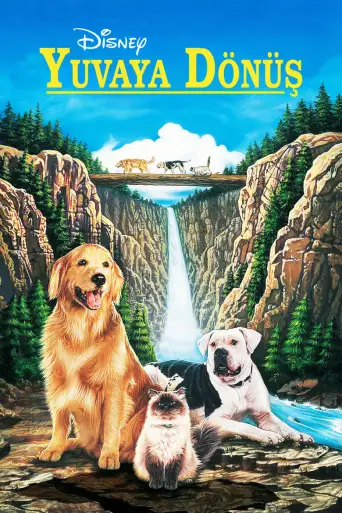 Yuvaya Dönüş posteri