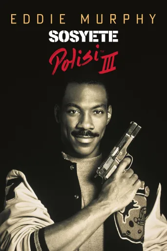 Sosyete Polisi 3 İndir posteri