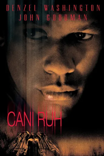 Cani Ruh İndir posteri